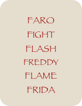 
FARO
FIGHT
FLASH
FREDDY
FLAME
FRIDA