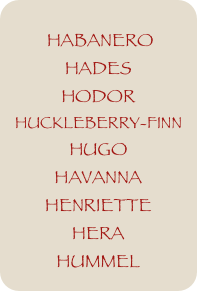 
 HABANERO
HADES
HODOR
HUCKLEBERRY-FINN
HUGO
HAVANNA
HENRIETTE
HERA
HUMMEL